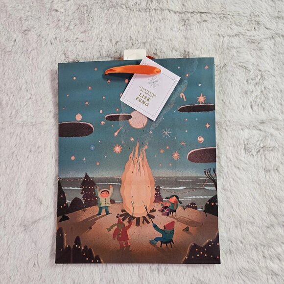 Lisk Feng Wondershop 2024 Christmas Ornament Gifts Towel Box & Bags ~6 Items NEW - Picture 11 of 12